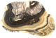 A & B Home Eduardo Beige/Black Hand-Carved Zebra Onyx Bowl-0