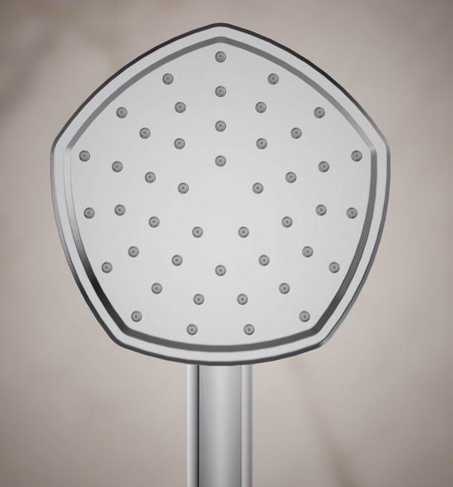 KOHLER® Occasion® Polished Chrome 2.5 GPM Single-Function Handshower-2