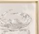 Stylecraft White Wash Crab Wall Art-1