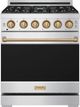 Thor Kitchen Gordon Ramsay Collection 30" Stainless Steel Pro Style Liquid Propane Range with Precision Knob Control in Bronze Trim-0