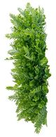 A & B Home Green 20" Wreath-2