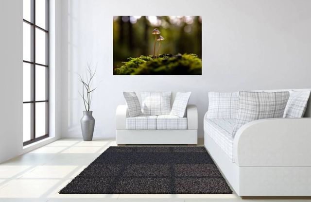 Classy Art Mushrooms Wall Art-3