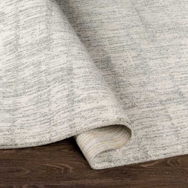 Surya Gavic Beige/Gray 4'x6' Area Rug-4