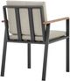 Armen Living Nofi 2-Piece Charcoal/Taupe Aluminum/Fabric Outdoor Dining Arm Chair Set-3