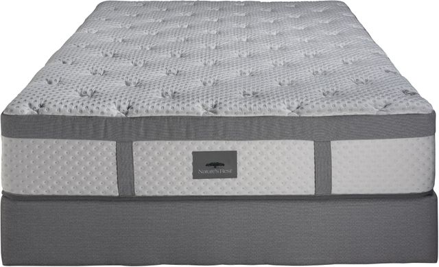 Spring Air® Nature's Rest® Victoria 13" Latex Plush Tight Top Queen Mattress-3