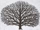 StyleCraft Norman Wyatt Home Woodcut Sycamore Wall Art-1