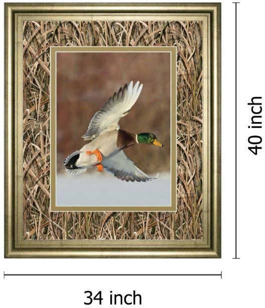 Classy Living Steve Oehlenschlager Flying Mallard 34" Wall Art-1