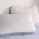 BEDGEAR® Gemini Performance® Mint/White 2.0 Firm Pillow for Neutral/Warm Sleepers-1