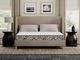 Danforth Medium Queen Mattress-2