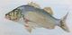 Stylecraft Perch Wall Art-1