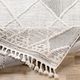 Surya Azilal Gray/White 4'x6' Area Rug-3