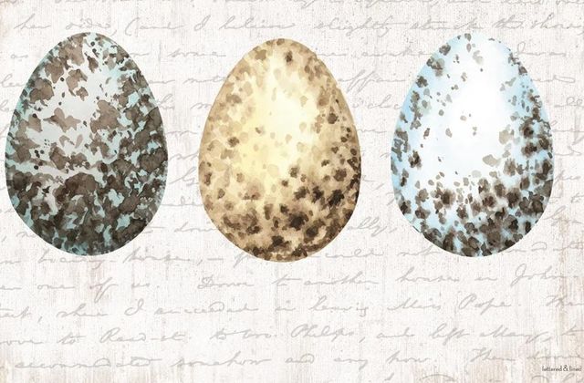 Classy Art Speckled Eggs by Lettered & Lined Wall Art-1