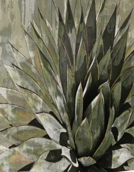 Stylecraft Succulent Verde I Brown/Green Wall Art-1
