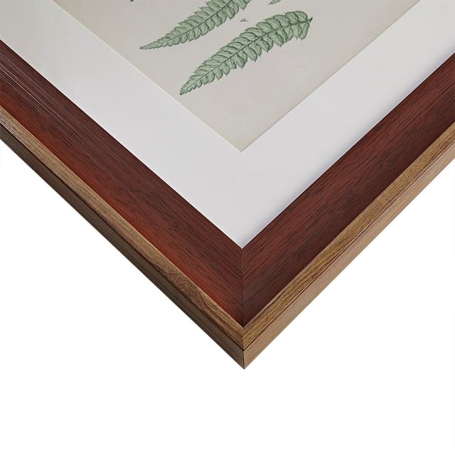 Olliix by Martha Stewart Lady Fern Collection 3 Piece Set Green Single Mat Framed Graphic-2