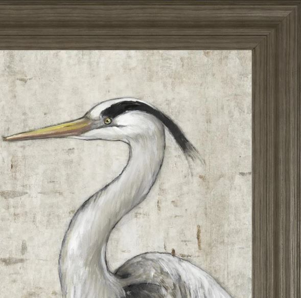 Classy Art Gray Heron II by Tim O'Toole Wall Art-1