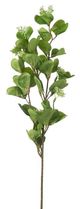 A & B Home Green Eucalyptus Spray-1