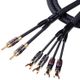 Tributaries® Series 8 6' Bi-Wire Spade/Banana Speaker Cable-0