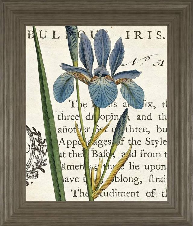 Classy Art Iris Letter by Sue Schlabach Wall Art-0