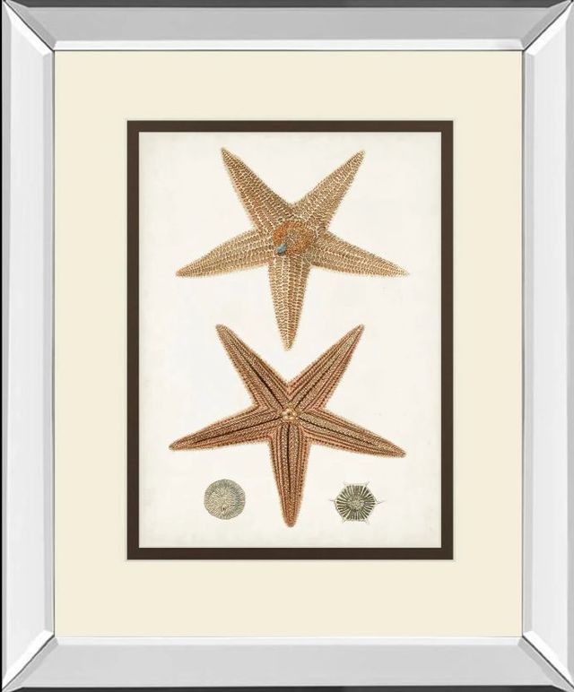 Classy Art Coastal Curiosity I by Unknown Mirror Framed Wall Art-0
