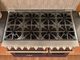 BlueStar Platinum X8 48" Specialty Paint Pro-Style Dual-Oven Gas Range with Brushed Stainless Steel Trim-1