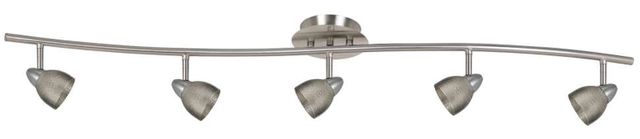 Cal® Lighting & Accessories Orbit Brushed Steel/Silver Serpentine Light-0