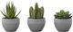 Monarch Specialties Inc. 3-Piece Grey 6" Tall Artificial Potted Succulent-0
