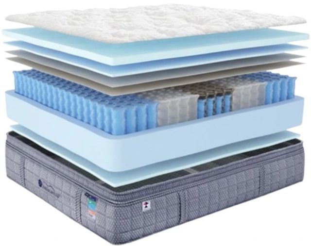 Martin Furniture & Bedding Blue Sky Lux Wrapped Coil Plush Euro Top King Mattress-2