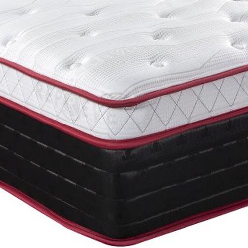 True North Chiropractic Pelee Queen Wrapped Coil Euro Top Plush Mattress-1
