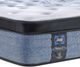 Sealy® Posturepedic® Plus Mason 12" Wrapped Coil Firm Euro Top Queen Mattress-1