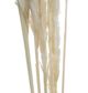 A & B Home Cream Dried Natural Pampas Grass Bundle-3
