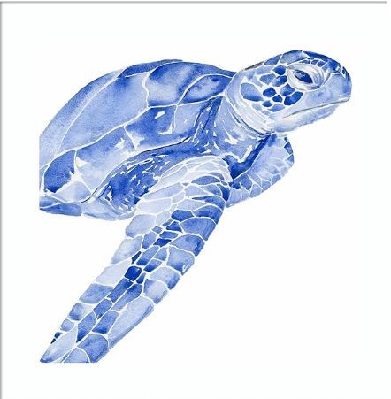 Classy Art Ultramarine Sea Turtle II by Jennifer Paxton Parker Mirror Framed Wall Art-0