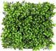 Le Present Green 10" Artificial Boxwood Tile-0