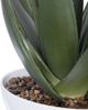 Uttermost® Evarado Glossy White/Green Aloe Planter-2