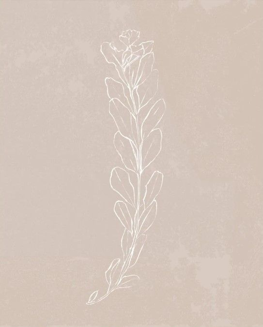 Classy Art Blush Bloom II by Annie Warren Wall Art-1