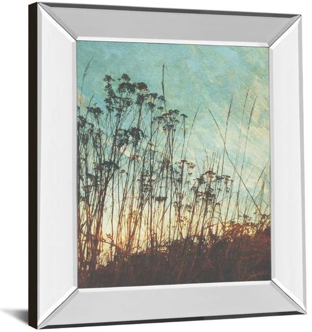 Classy Art Wild Grass by Amy Melious Mirror Framed Wall Art-1