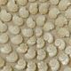 StyleCraft Natural Shell 24" Wall Art-3
