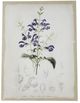 A & B Home 2-Piece Light Brown/White Floral Canvas Print Set-2
