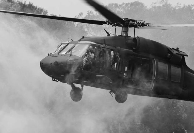Classy Art Black Hawk Wall Art-0