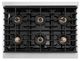 ZLINE Autograph Edition Paramount 36" 5.2 Cu. Ft. Stainless Steel Gas Range with 6 Burner DuoPro™ Cooktop and Convection Gas Oven with Polished Gold Helix Handle and Accents-2