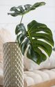 A & B Home Green Split Leaf Stem-1