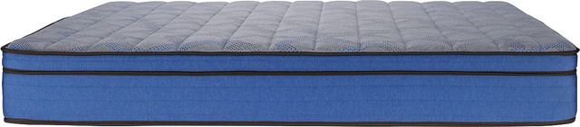 Sealy® Nilo 11.5" Wrapped Coil Firm Euro Top King Mattress-3