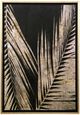 Stylecraft Neutral Palms On Black ll Wall Art-0