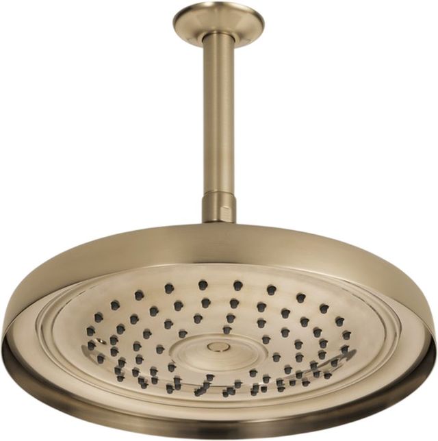 Brizo Essential™ Brilliance® Luxe Gold® 11" Classic Round Single-Function Raincan Shower Head-1
