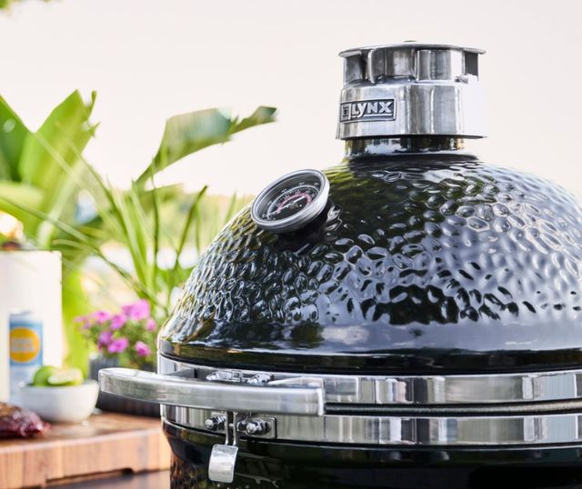 LYNX® Kamado 23" Gloss Black Tabletop Charcoal Grill-3