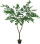 A & B Home Green 60" Polyscias Fruticosa Tree in Pot-0