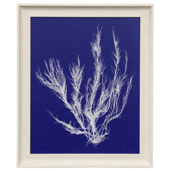 Stylecraft Seaweed Pop VI Off-White/Blue Wall Art-0