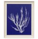 Stylecraft Seaweed Pop VI Off-White/Blue Wall Art-0