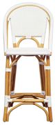 Furniture Classics Leroy Brown/White Counter Stool-1