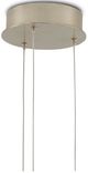 Currey & Company Alsop Black/Brown Round Multi-Drop Pendant Lighting-2