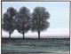 Stylecraft Norman Wyatt This Is the Day Wall Art-0